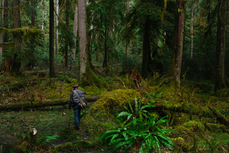 Gordon Hempton walks toward One Square Inch of Silence